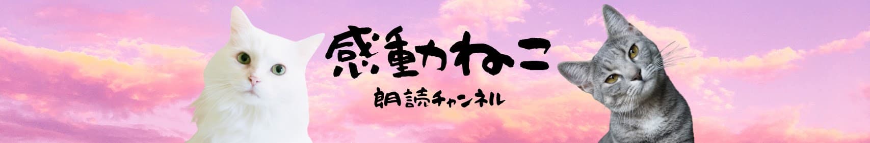 感動ねこ 朗読チャンネル